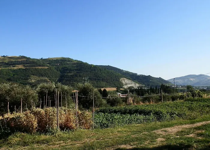 In With Scenic Views Modigliana